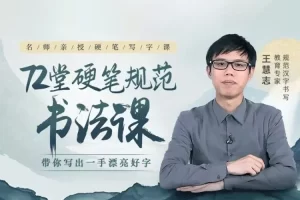 王慧志72堂硬笔规范书法课