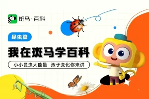 斑马百科“昆虫”主题动画视频课程