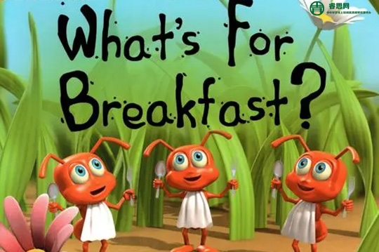 柯林斯大猫BigCat分级阅读1-11级绘本+音频+课件+红黄蓝绿录播课