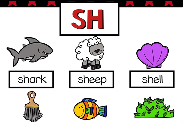 自然拼读交互式锚图《Interactive Anchor Charts》2册PDF