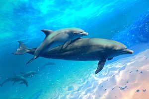 儿童科普广播剧《科学奇遇记》全60集