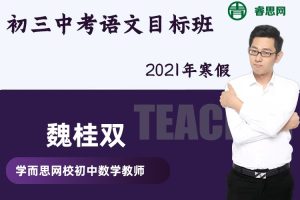 【魏桂双语文】2021年寒假初三中考语文目标班