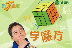 乐乐课堂-乐乐魔方三阶魔方+二阶魔方