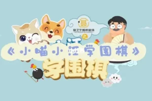 聂卫平围棋道场之小喵小汪学围棋