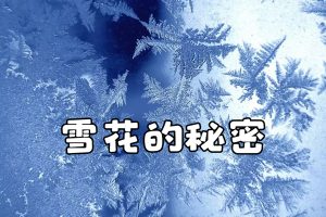 萌眼看世界大百科-雪花的秘密-适合4-12岁孩子看的科普动画片