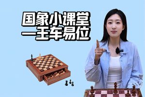 零基础学国际象棋