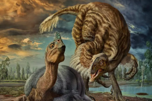 少儿科普有声故事《贝贝和他的恐龙朋友》全30集mp3音频