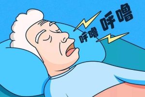 儿童科普知识-呼噜博士《呼噜为什么》全40集mp3音频