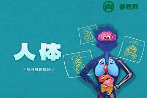 斑马百科“人体”主题动画视频课程,带领孩子们探寻身体奥秘